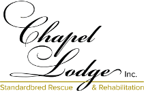 Chapel Lodge Standardbred Rescue and Rehabilitation